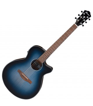 Ibanez AEG50 IBH Acoustic Electric Guitar 